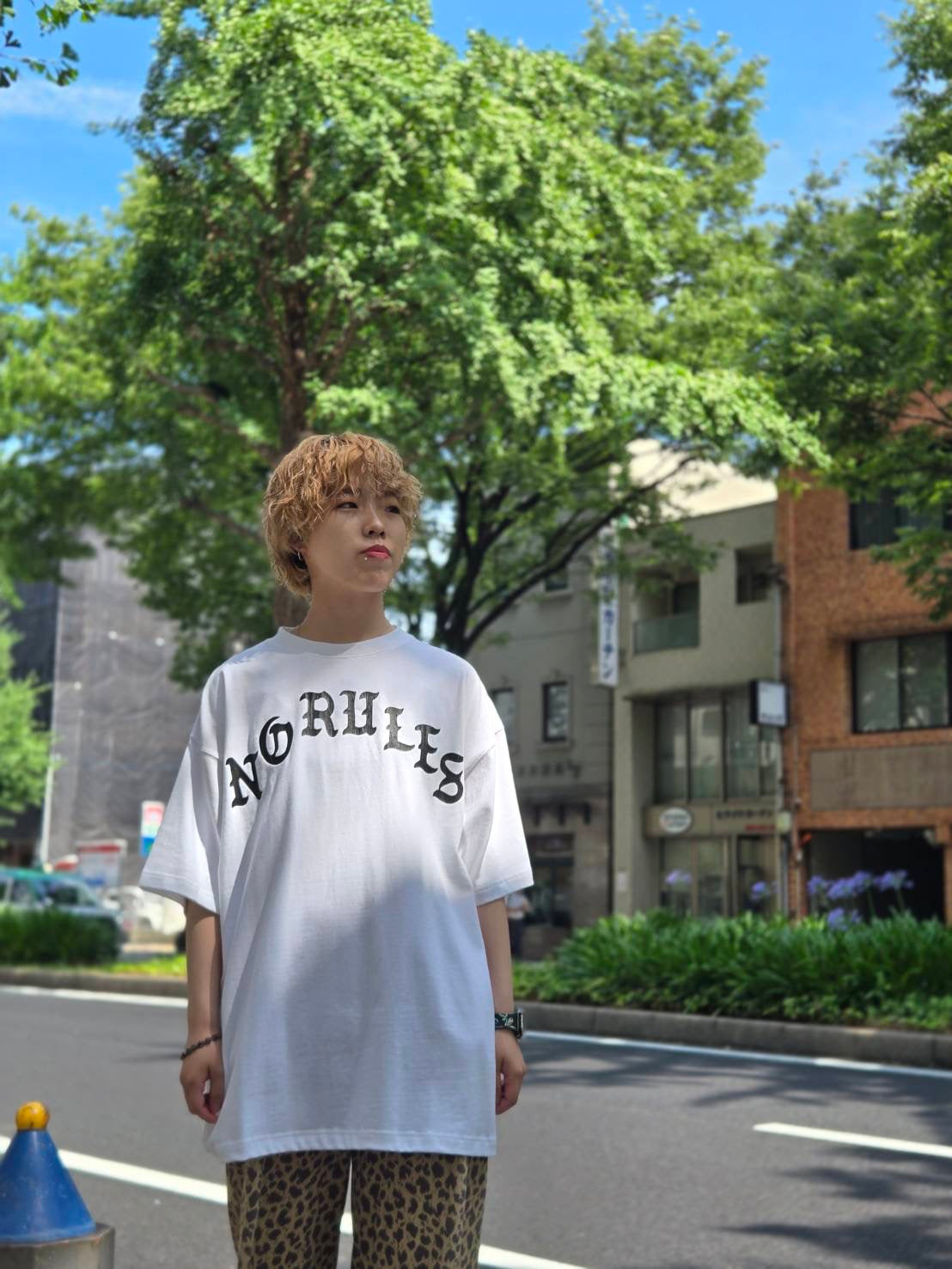 TAIN DOUBLE PUSH FLASH LADY SHORT SLEEVE T-SHIRTS /WHITE
